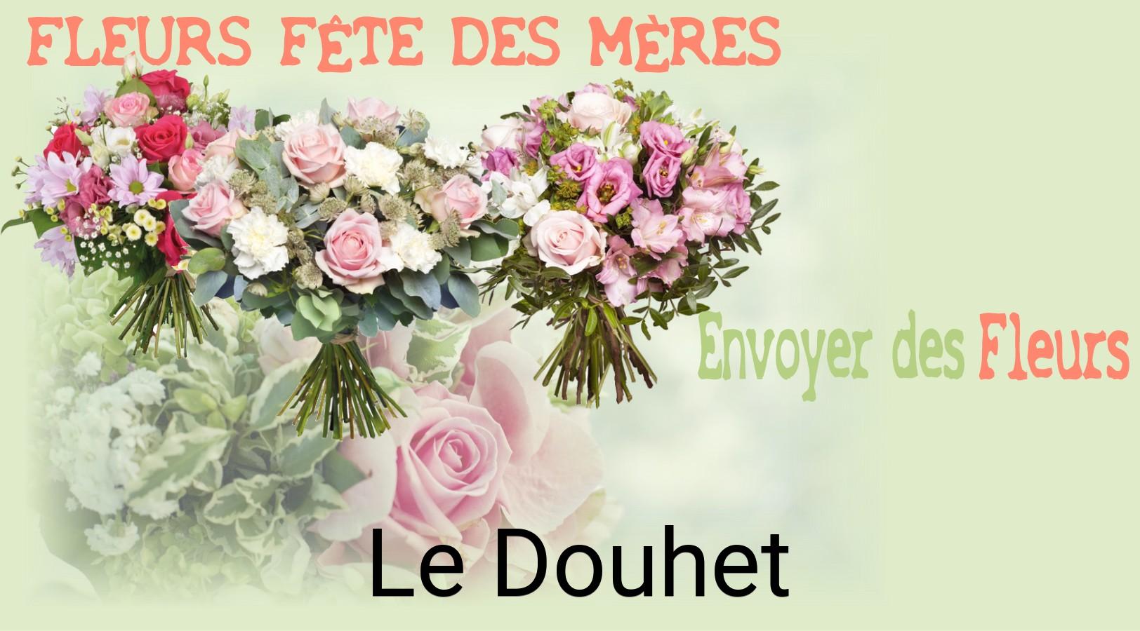 Bouquet de Fête des Mères livré à Le Douhet